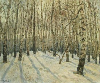 Winter birch trees. Rudin Petr