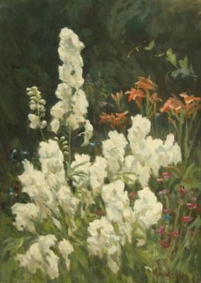 The flowers in the garden. Rudin Petr