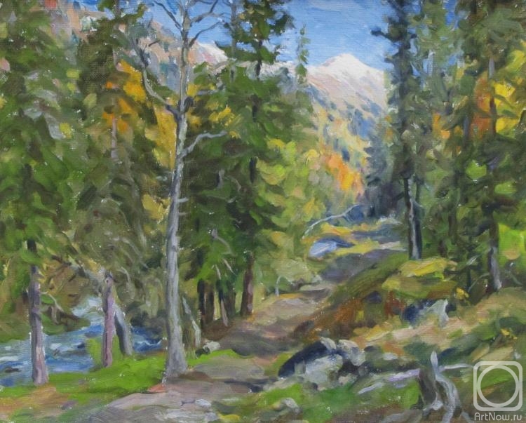 Rudin Petr. Autumn study