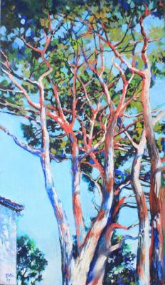 ������� ������, ����