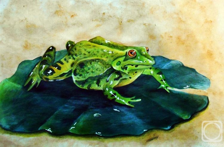 Knyazheva-Balloge Maria. A frog sitting on the water lily