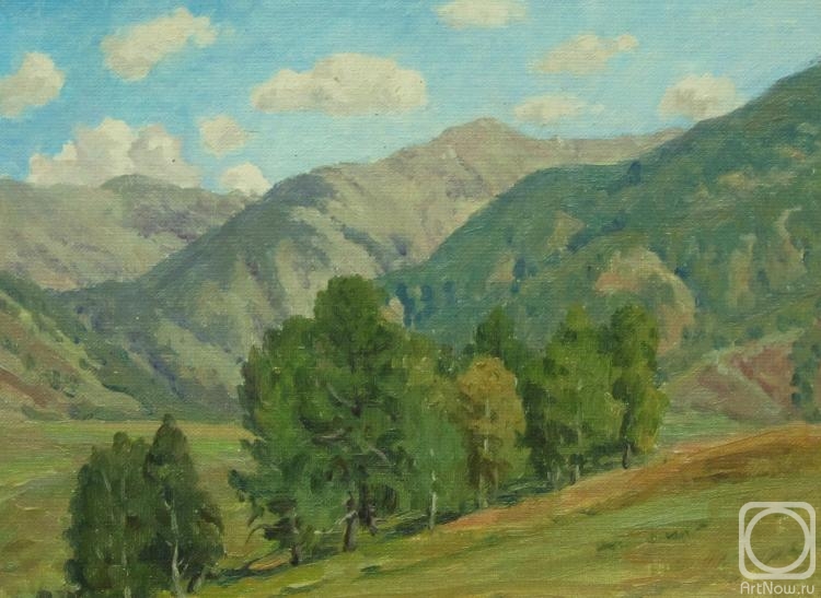Rudin Petr. Sunny in mountains
