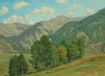 Sunny in mountains. Rudin Petr