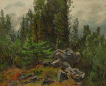 Cloudy day in the mountains. Rudin Petr