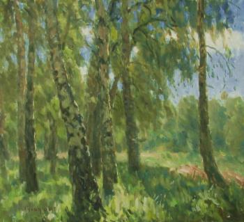 Birch in the sun. Rudin Petr