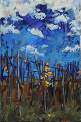 ������� ����� ��� ����� �������