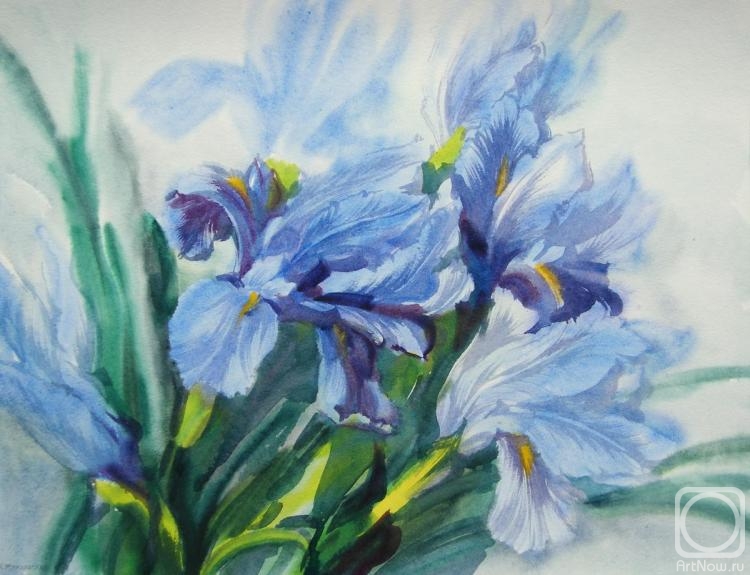 �������. ���������� ���������. ����� ��������