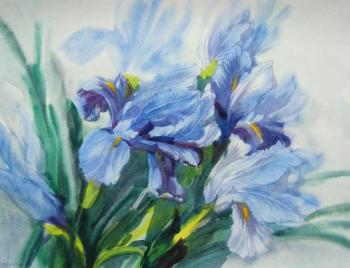 ������� ������ ��������