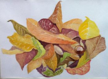 ������� �������