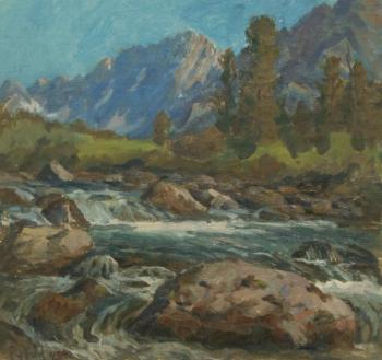 The rapids on the river. Rudin Petr