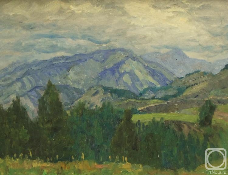 Rudin Petr. The mountains were wrapped in clouds