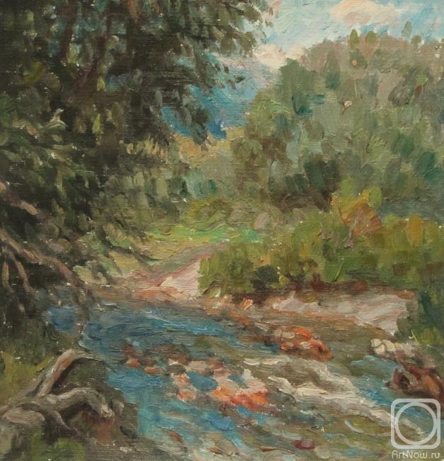 Rudin Petr. Noisy river