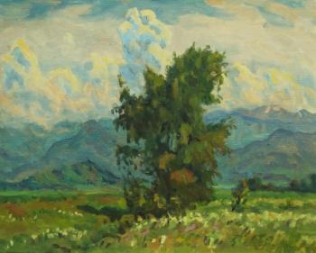 The tree in the valley. Rudin Petr