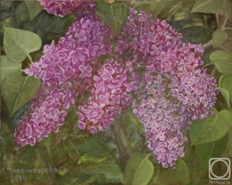 Kudryashov Galina. Lilacs in the garden