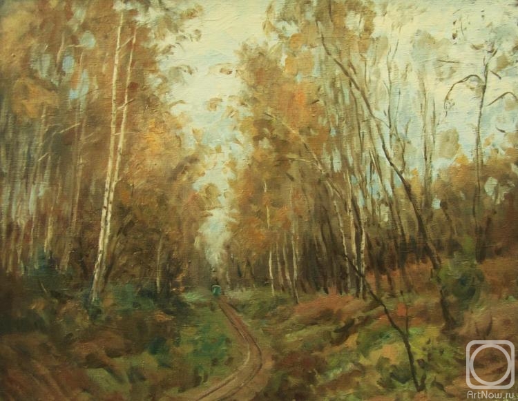 Rudin Petr. Autumn road