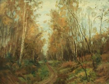 Autumn road. Rudin Petr