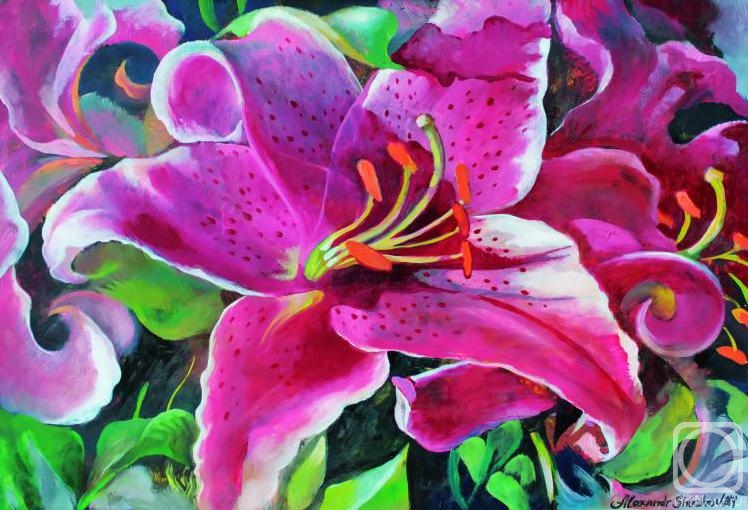 ������� ������ �� ������. ������ ���������. ������, ������!