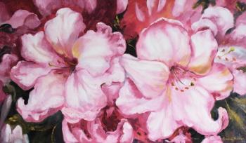 Pink abundance. Shirshov Alexander