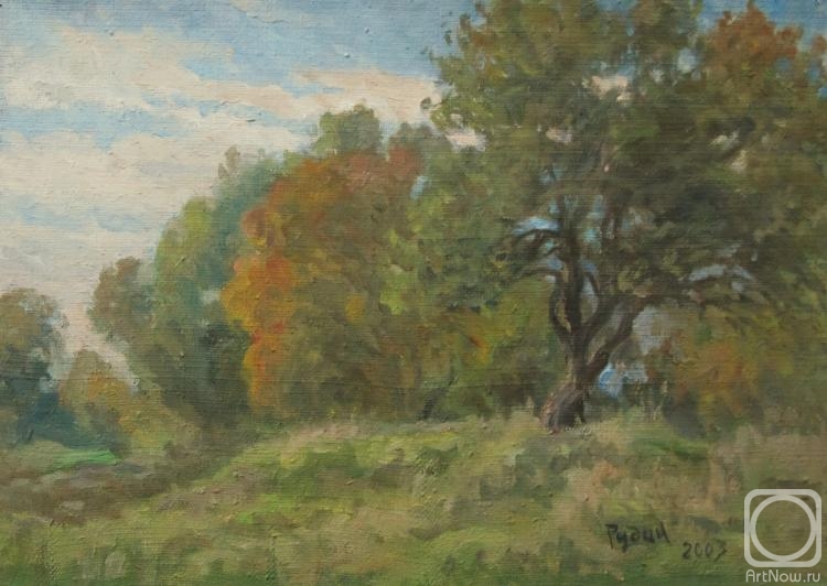 Rudin Petr. The trees are waiting for autumn