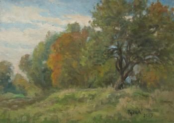 The trees are waiting for autumn. Rudin Petr