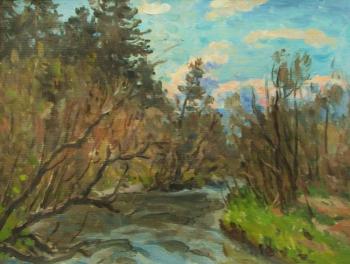 On the river in autumn. Rudin Petr