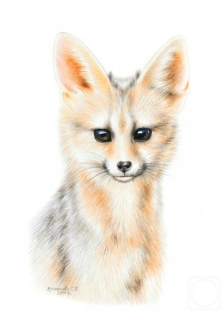Khrapkova Svetlana. South African fox
