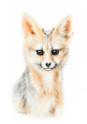 South African fox. Khrapkova Svetlana