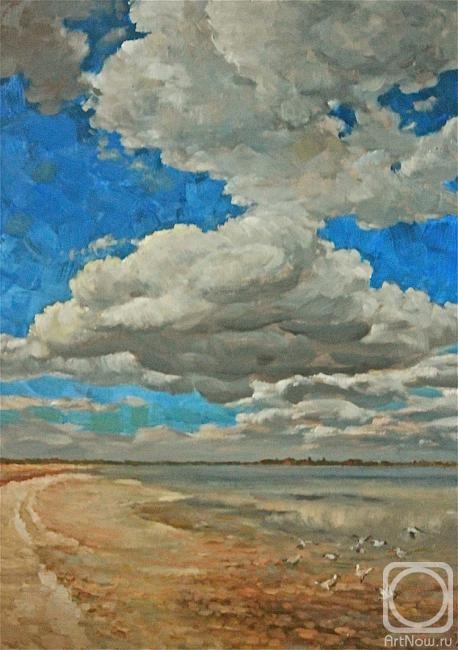 Vyrvich Valentin. Clouds over the estuaries