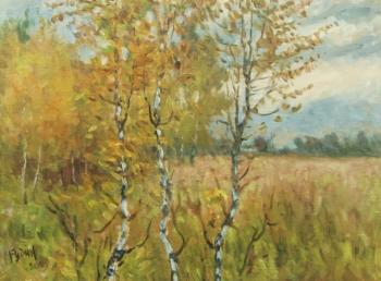Autumn birch. Rudin Petr