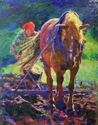 ������� �����������