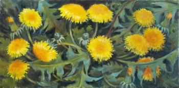 Dandelions in the meadow