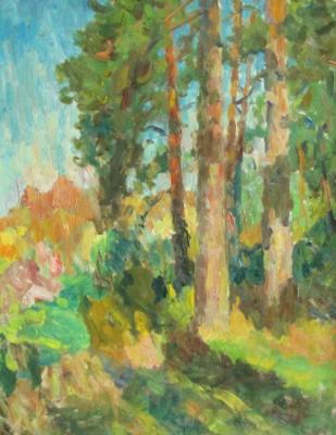 Pine under the sun (Boron). Rudin Petr