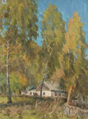 Cabins in the woods. Rudin Petr