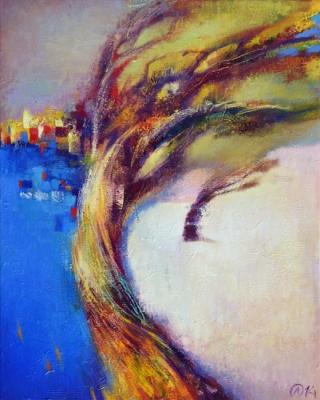 Wind in the Olive Trees