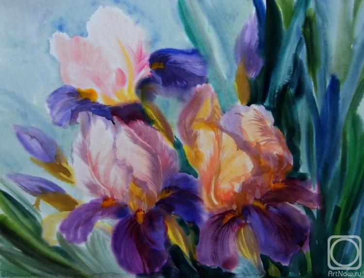 �������. ���������� ���������. ���� ������ ���