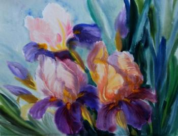 ������� ����� ������ ����