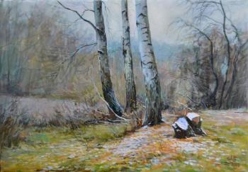 ������� ��������� �����