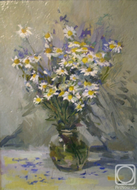 Kaminskiy Aleksey. Field daisies