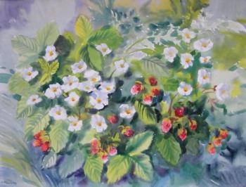 ������� ��� ������