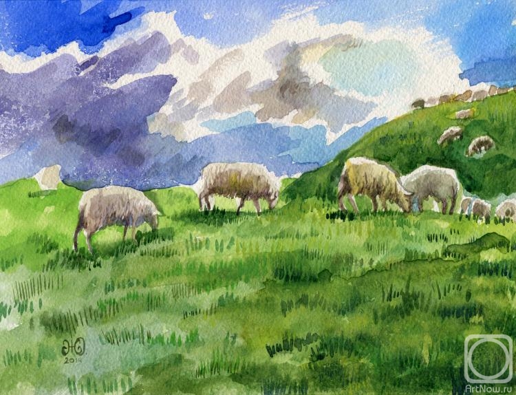 Zhukovskaya Yuliya. Sheep in the meadow