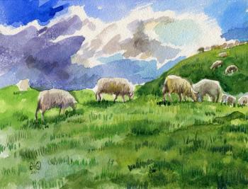 Sheep in the meadow. Zhukovskaya Yuliya