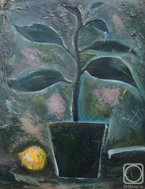 �������. ������ �������. "�����" 81