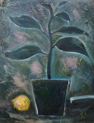 ������� �"�����" 81�