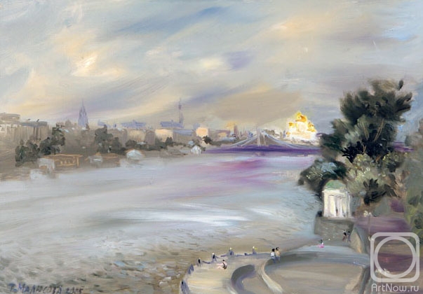 Malyusova Tatiana. View on Krimsky bridge