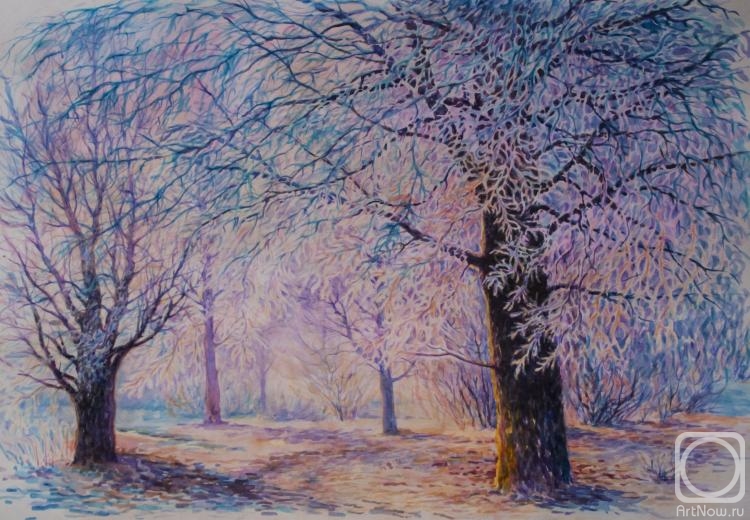 Abramova Anna. Untitled