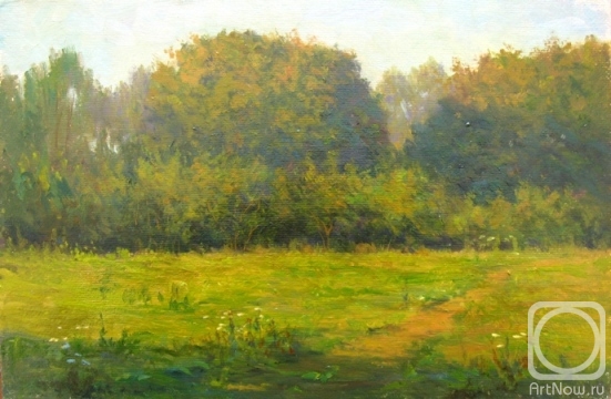 Bravkov Vladimir. Evening in the park