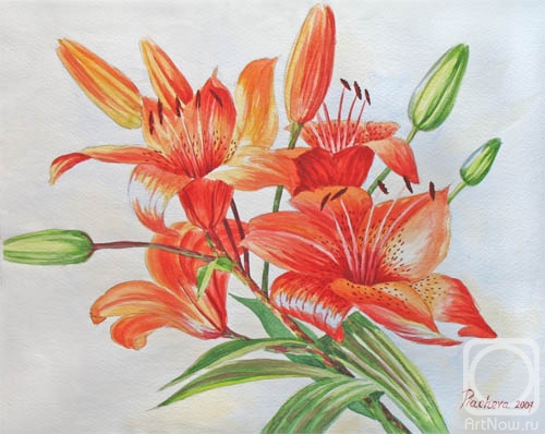 �������. ������� �������. ��������� �����