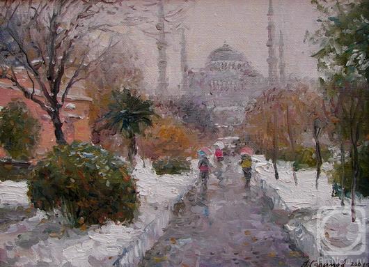 Galimov Azat. Winter Istanbul