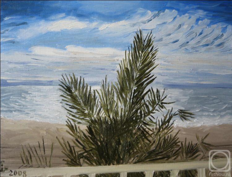 ������� ������ �� ������. ���������� �����. ���� �� �����