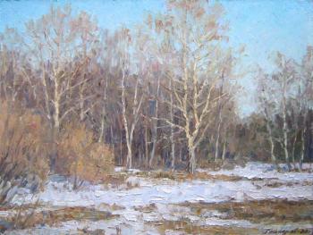 Spring... The snow is melting. Gaiderov Michail